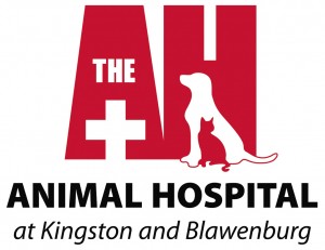 Animal Hospital at Kingston and Blawenburg
