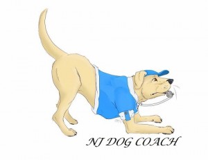 NJ Dog Coach Logo
