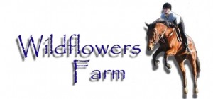 Wildflower Farms Logo